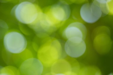 Yeşil doğa arkaplanı