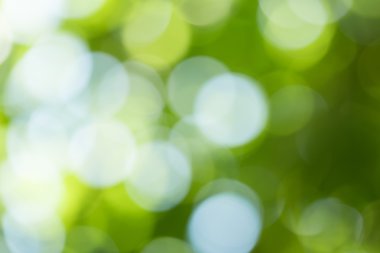 Yeşil doğa arkaplanı