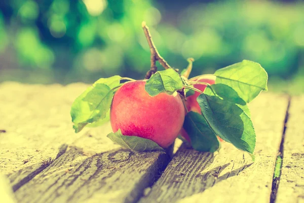 Manzanas sobre mesa de madera — Foto de Stock