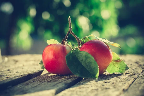 Manzanas sobre mesa de madera — Foto de Stock