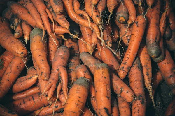 Mogen orange morötter — Stockfoto