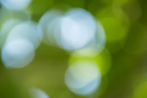 Hintergrund der grünen Natur — Stockfoto