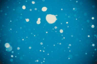 mavi zemin üzerine yağan kar