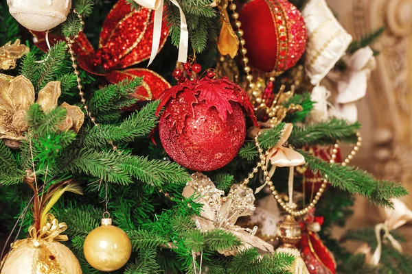 クリスマス ホリデイ ・ モミの木 — ストック写真