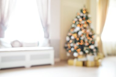 Noel tatil köknar ağacı