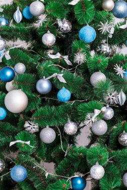 Noel tatil köknar ağacı