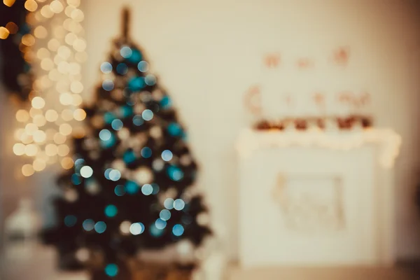 圣诞假期枞树 — 图库照片