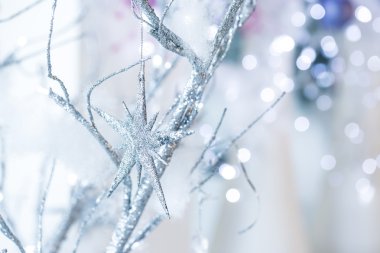 Noel yıldız gümüş