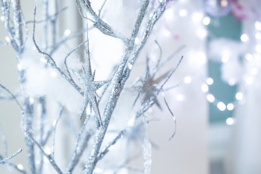 Noel yıldız gümüş