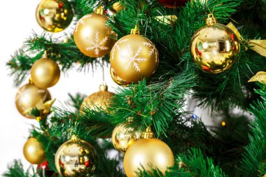 Noel tatil köknar ağacı