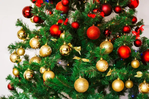 クリスマス ホリデイ ・ モミの木 — ストック写真
