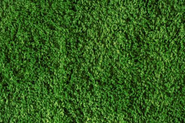 yeşil çim sorunsuz doku