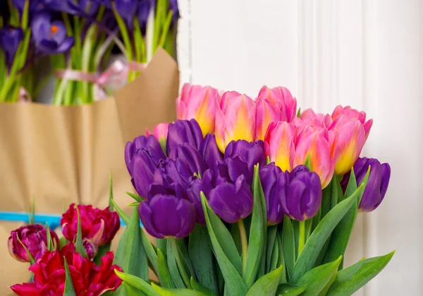 Szép rózsaszín és lila tulipán — Stock Fotó