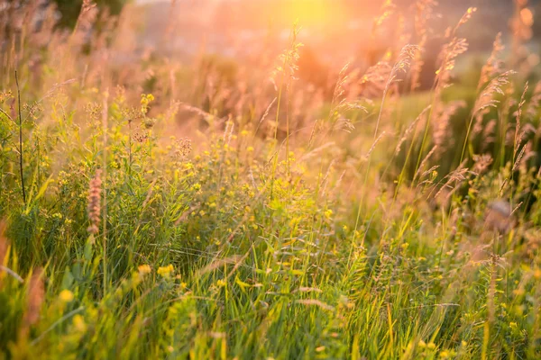 Mooi landschap — Stockfoto