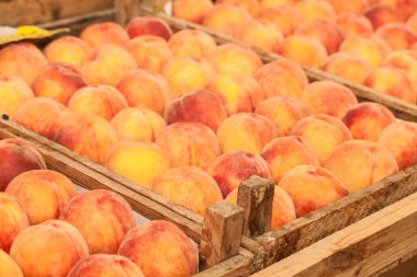 ahşap sepeti taze şeftali