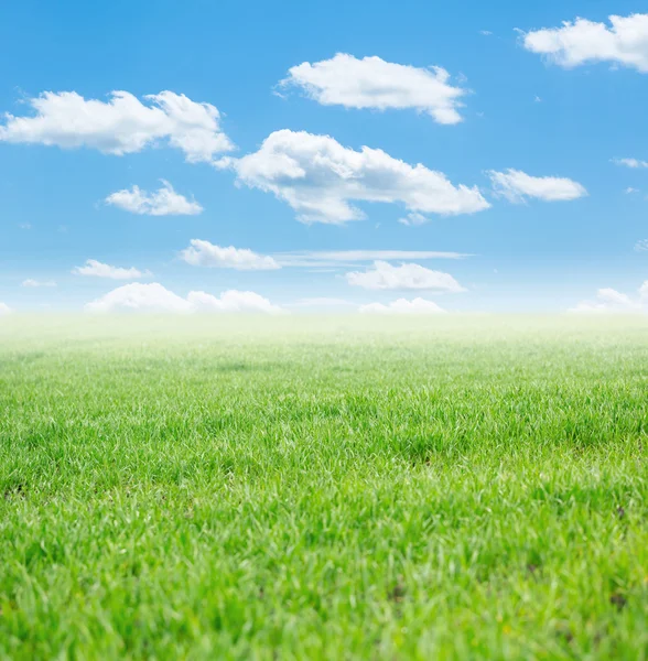 Gräs- och himmelsfält — Stockfoto