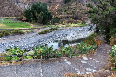 nehir ve yürüyüş parkurları