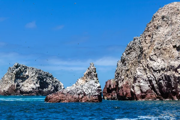 Océano, isla y aves — Foto de Stock