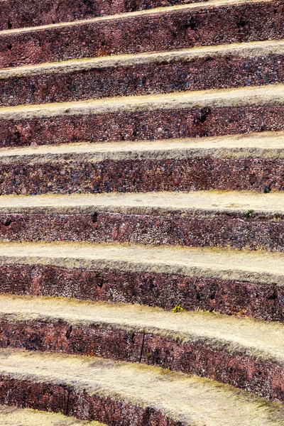 Gedroogd gras in de stenen terrassen — Stockfoto