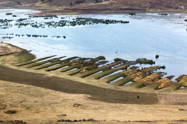 Lake with agricultural land — Stock Photo, Image