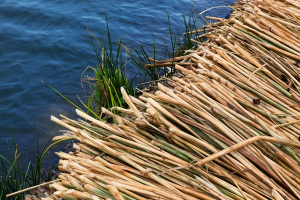 Cane island on the lake — Stock Photo, Image