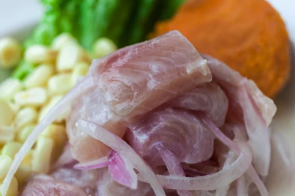 Zbliżenie: ceviche na talerzu — Zdjęcie stockowe