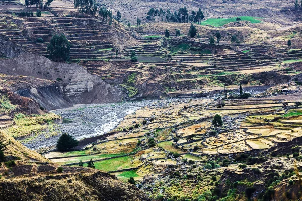 Görünüm alanının teraslar