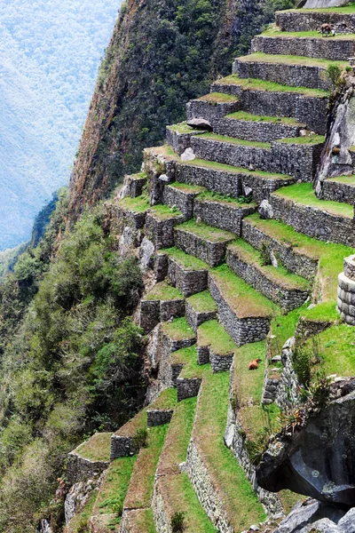 Visa av terrasser på berget — Stockfoto