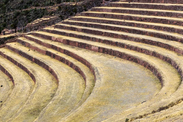 Dried grass in the stone terraces — Stock Photo, Image