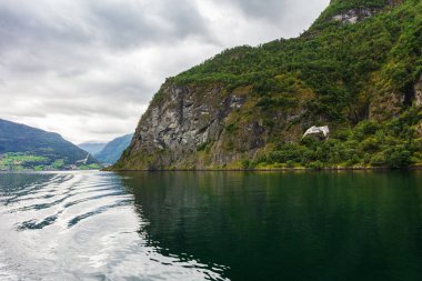 Norveç 'te güzel bir fiyordun üzerindeki martılar.