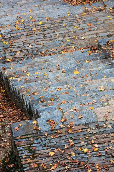 Sonbaharda Parkta Taş Merdiven — Stok fotoğraf