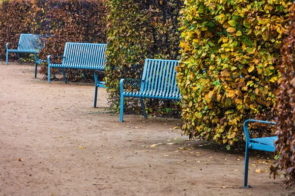 Blue Benches Park Alley — Stock Photo, Image