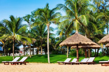 Kumsalda güneşlenirler ve güneşlenirler