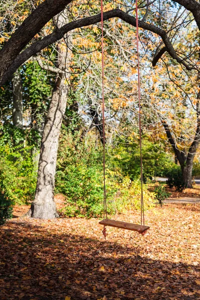 Empty Children Rope Swing Autumn Park — Stock Photo, Image