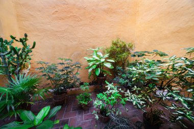 eski bir evde veranda