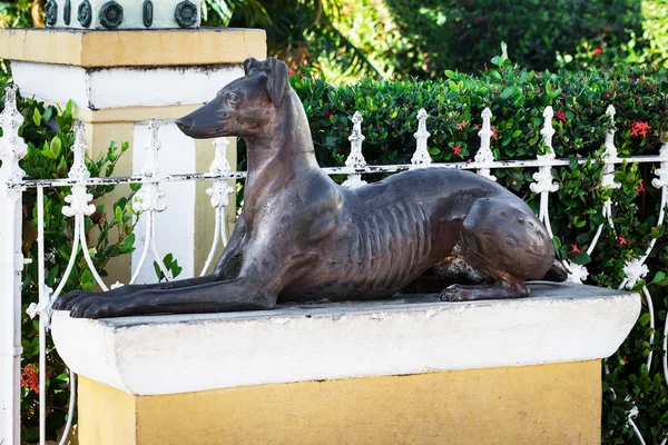 Old sculpture of a dog — Stock Photo, Image