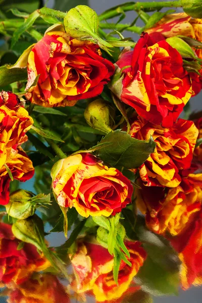 Roses on mirror — Stock Photo, Image
