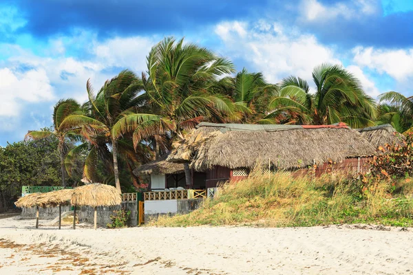 Casa y palma —  Fotos de Stock