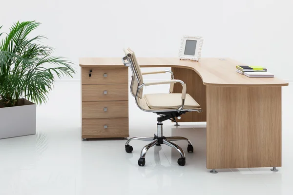 Wood desk and palm — Stock Photo, Image