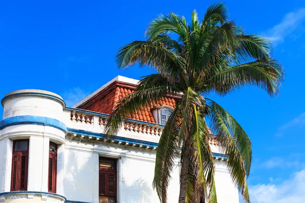 Белый дом и пальма — стоковое фото