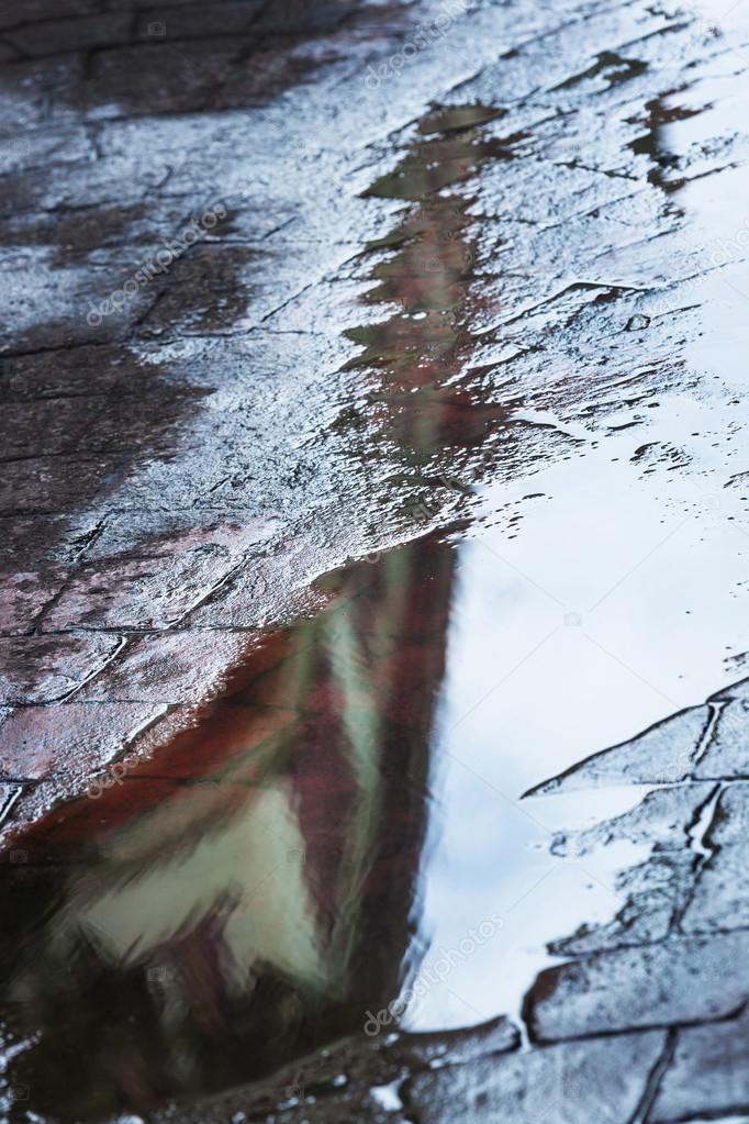 reflected in a rain puddle