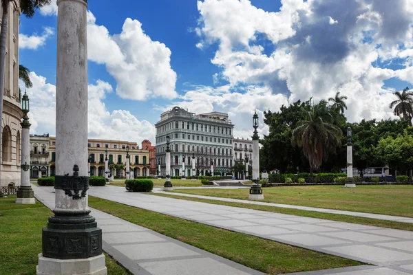 Hermosa calle con palmeras — Foto de Stock