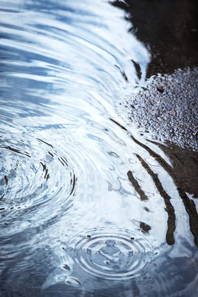 Rain puddles on pavement — Stock Photo, Image