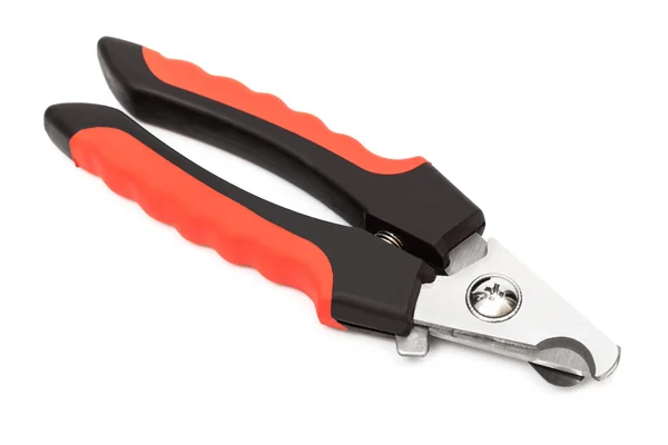 Nail clipper for dogs — Stock Photo, Image