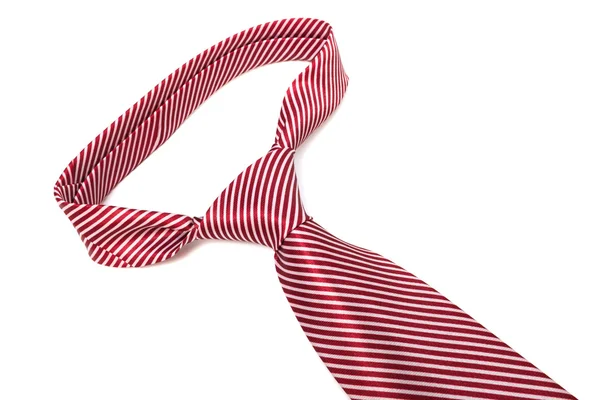 赤のストライプのネクタイ在镜像服务器上的粉红玫瑰 — ストック写真