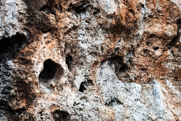 Delikli büyük taş — Stok fotoğraf