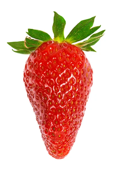 Frische Erdbeeren isoliert — Stockfoto