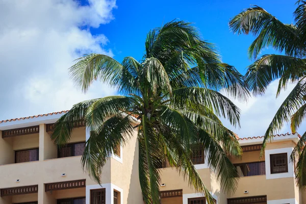 Bina ve palmiye ağaçları