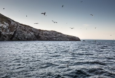 Isla Grosa - La Manga yakınındaki İspanyol Adası