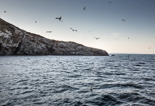 Isla Grosa - spanyol sziget közelében La Manga — Stock Fotó